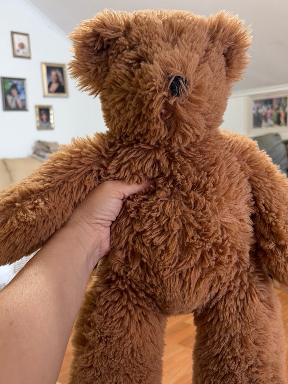 Vermont Bear Company in new shape no tag but the tush tag 
Ty